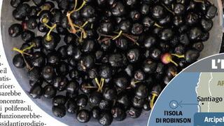 L'ultimo cibo "miracoloso" è un piccolo supermirtillo