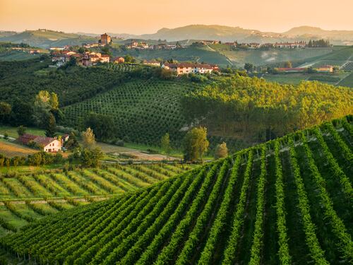 Paesaggi e cultura del Monferrato raccontati dai giovani fotografi