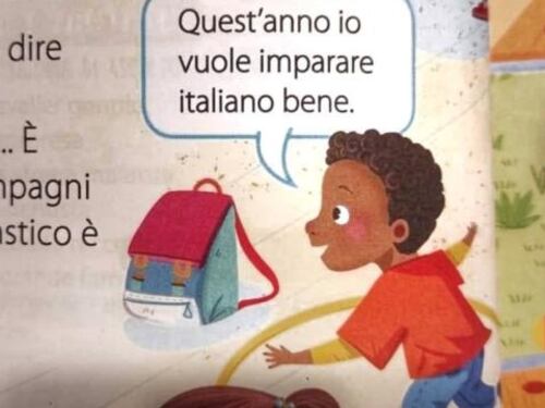 L'integrazione scambiata per razzismo