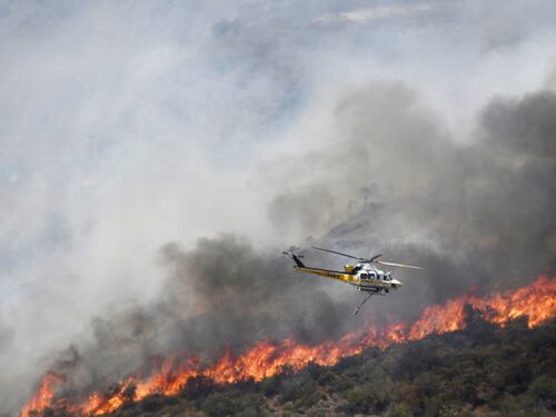 "Incendi in Sicilia appiccati da gatti bruciati": accusa ai piromani