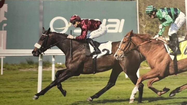 Ecco tutti i verdetti di Pasqua delle corse a cavallo