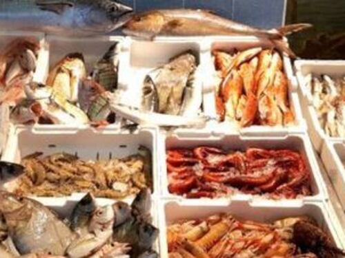 Tolto il pangasio dalle tavole degli italiani: "È allevato in mari inquinati"