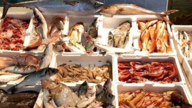 Tolto il pangasio dalle tavole degli italiani: "È allevato in mari inquinati"