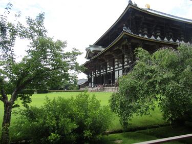 Nara, la perla di Buddha custodita dai cervi 6
