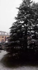 Nevica a Milano 7