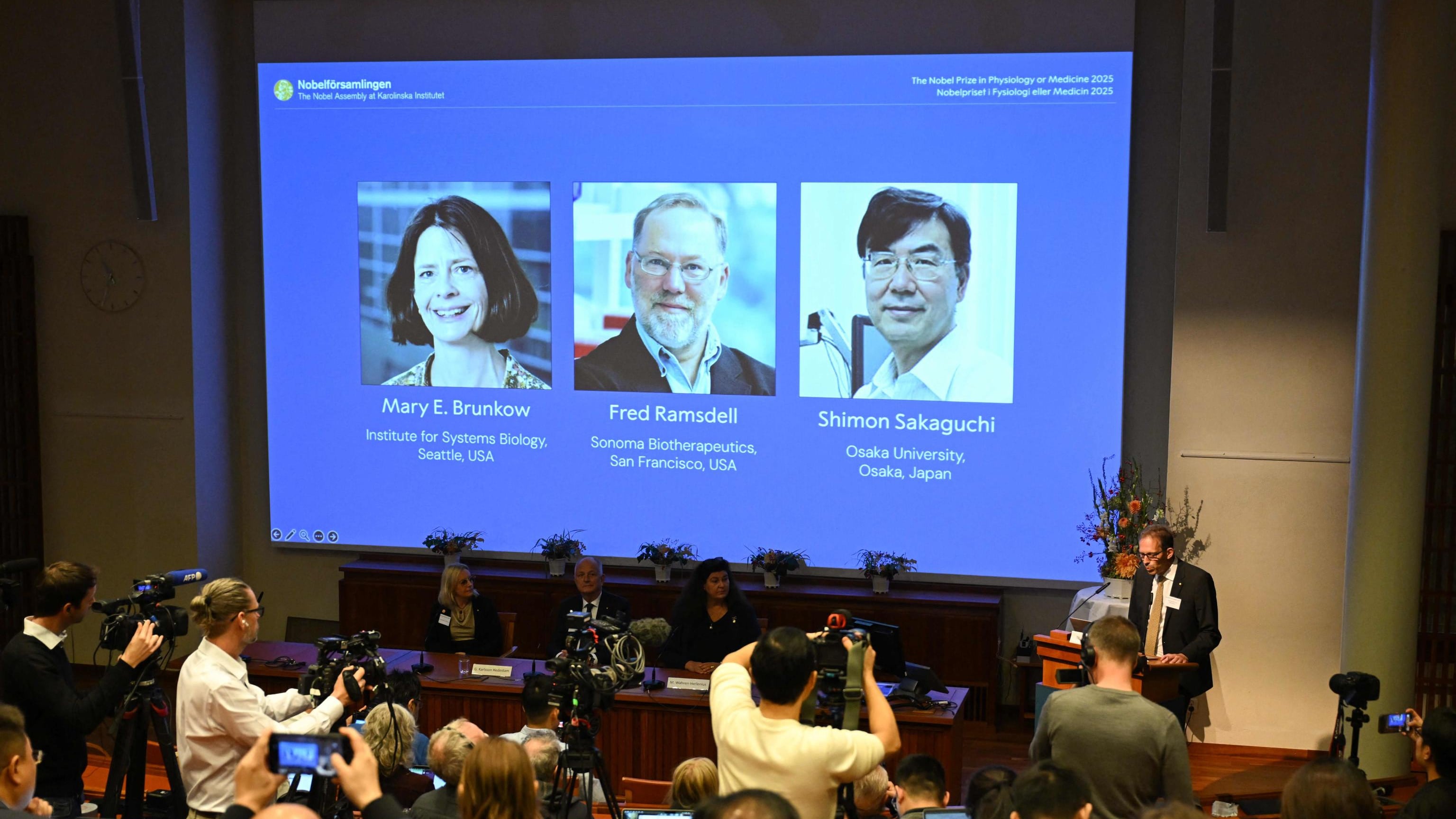 Trent’anni di studi: le cellule "scudo" ora vincono il Nobel