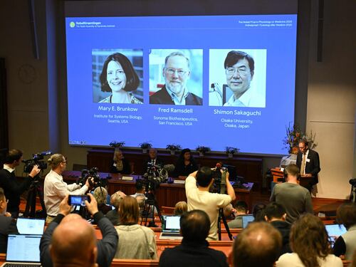 Trent’anni di studi: le cellule "scudo" ora vincono il Nobel