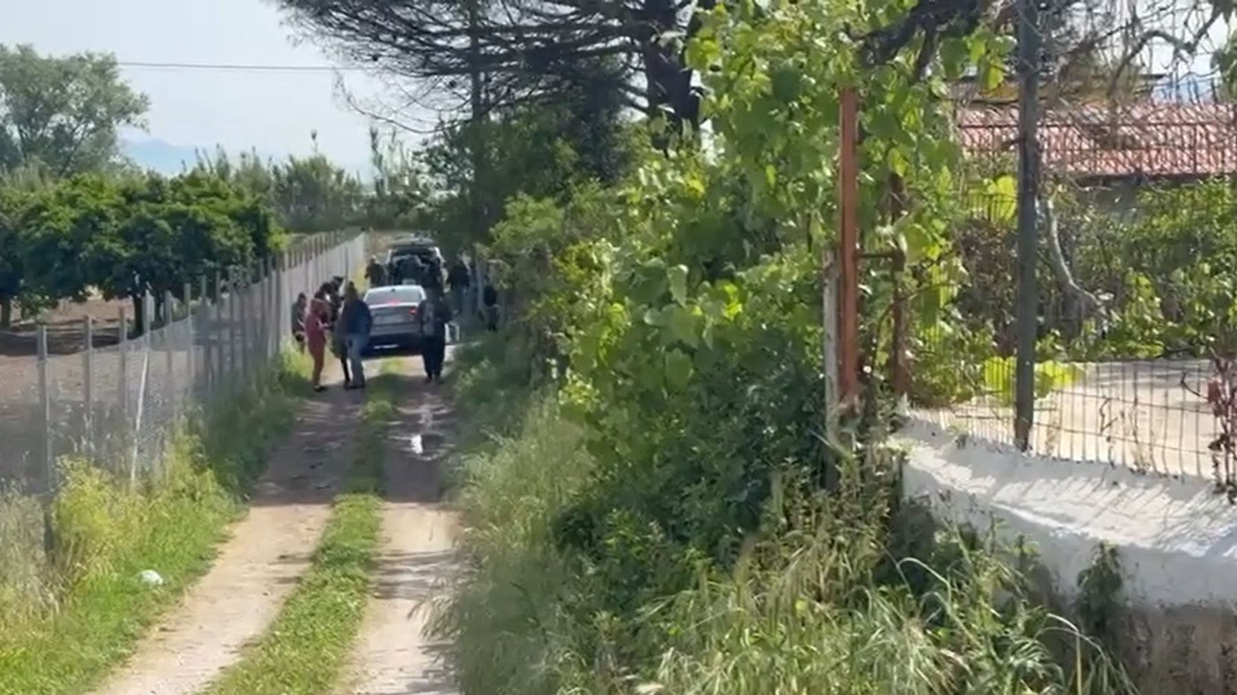 Aggredito dai pitbull: muore a 13 mesi