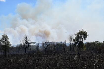Roma, bruciati più di 50 ettari: evacuati struttura per anziani e convento 13