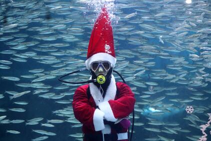 Seul, Babbo Natale sott'acqua tra pesci e sirene 1