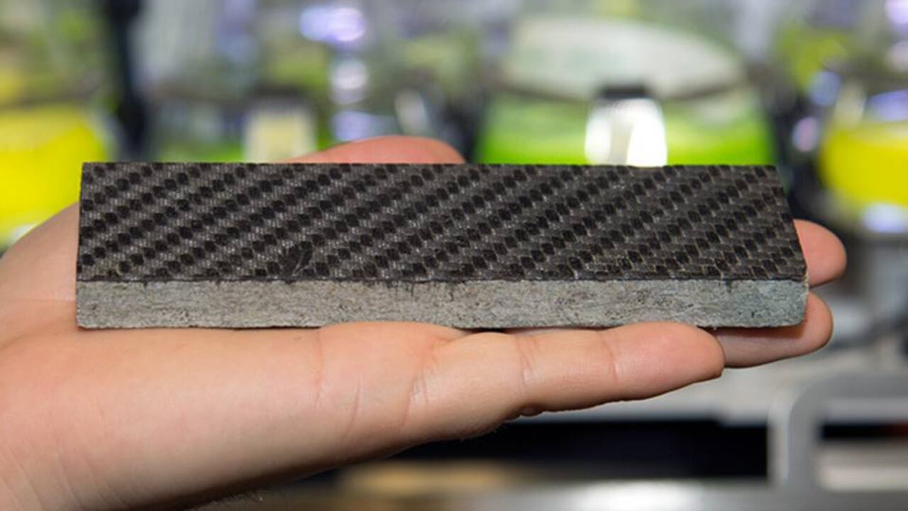 Ricercatori ricavano fibre di carbonio dalle alghe marine