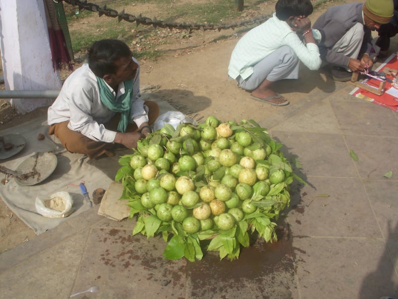 Delhi e il fascino disordinato della sua umanità 5