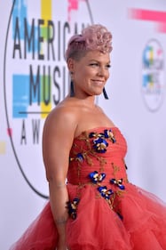 Pink, le immagini più belle 21