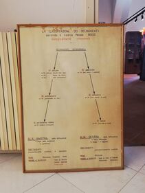 L'ex manicomio di Aversa 1