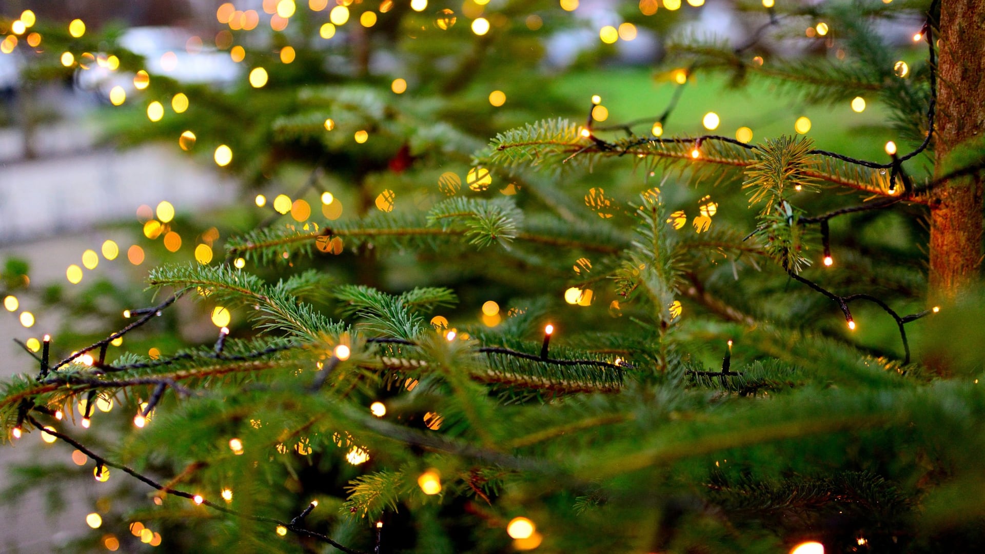 Dalle luci di Natale alle pentole Così si abbatte la super bolletta