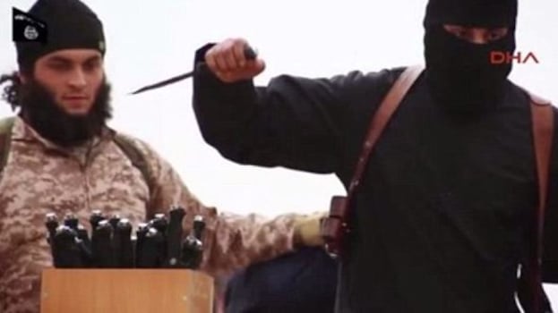 L'Isis contro i piccioni: "I loro genitali all'aria offendono l'Islam"