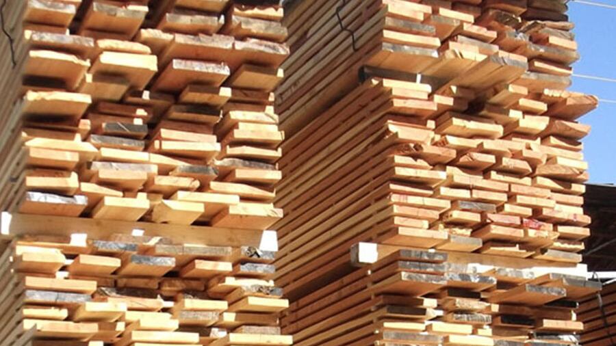 Legname di latifoglie, a Venezia la Hardwood Conference analizza scenari e prospettive