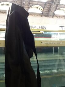 In treno con un fucile 10