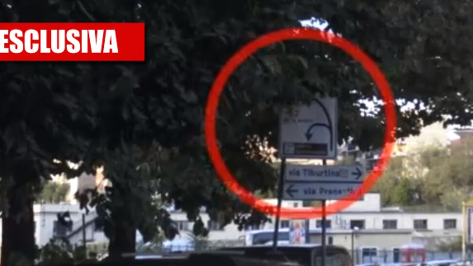 A Roma come nella giungla: allarme per i rami incolti che nascondono la segnaletica