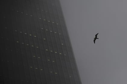 Il fascino di Londra avvolta dalla nebbia 4