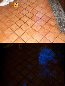 Luminol 4