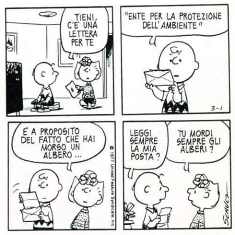 Peanuts, le strisce 21
