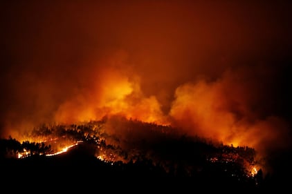 Incendio in Portogallo: 58 morti 2