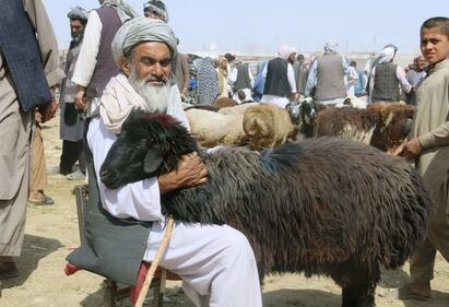 Afghanistan, i preparativi per l'Eid 11