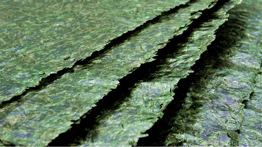Alghe, una sorpresa verde a tavola
