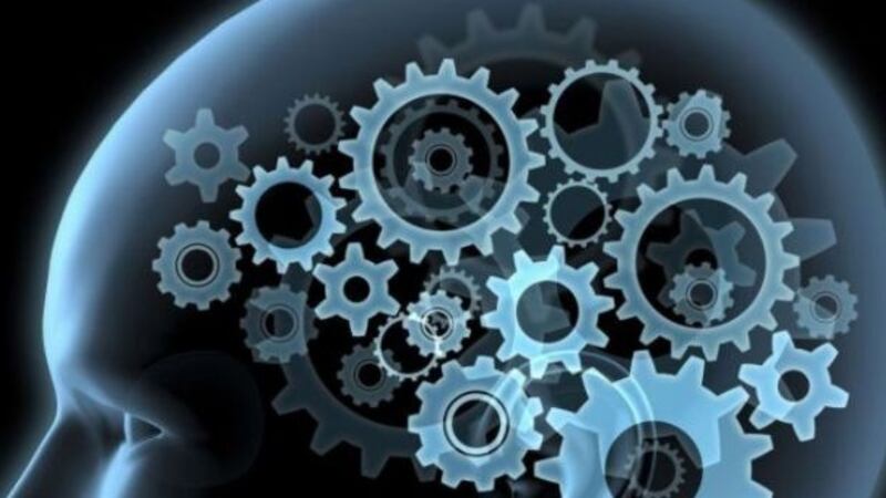 Ora parlare di intelligenza è politicamente scorretto