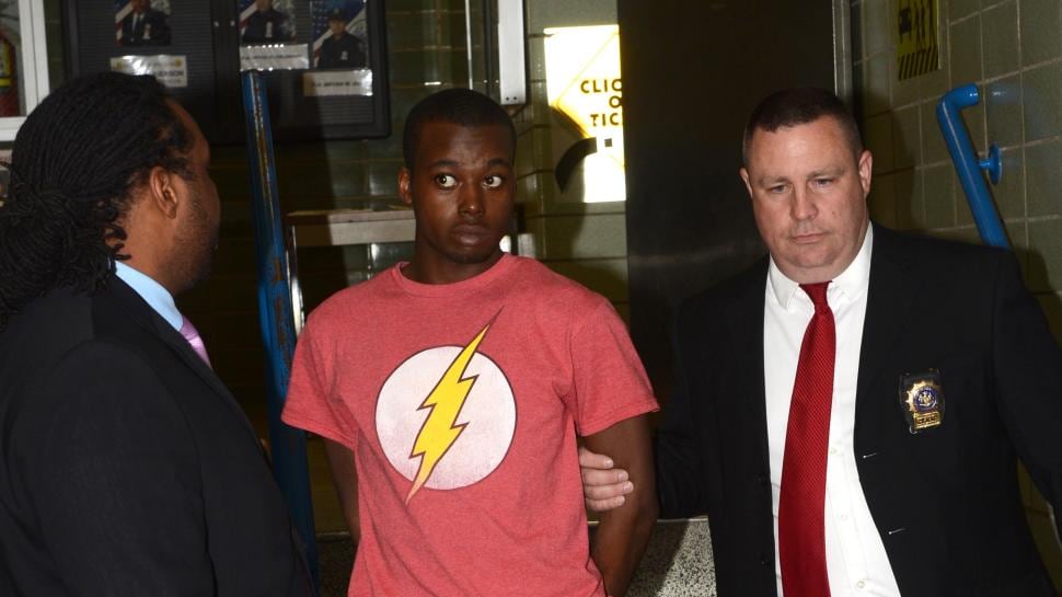 New York, rischia il carcere per un calcio a un gatto