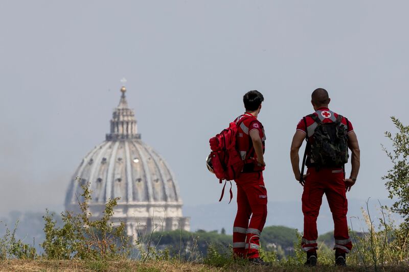 Incendio di pineta Sacchetti a Roma 7