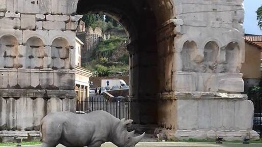 Quella strana storia del rinoceronte dimenticato tra i monumenti di Roma