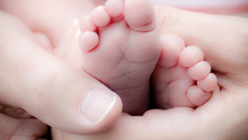 Congresso Famiglie a Verona, gli organizzatori: "Fake news e interrogazioni grottesche. Ora azioni legali"