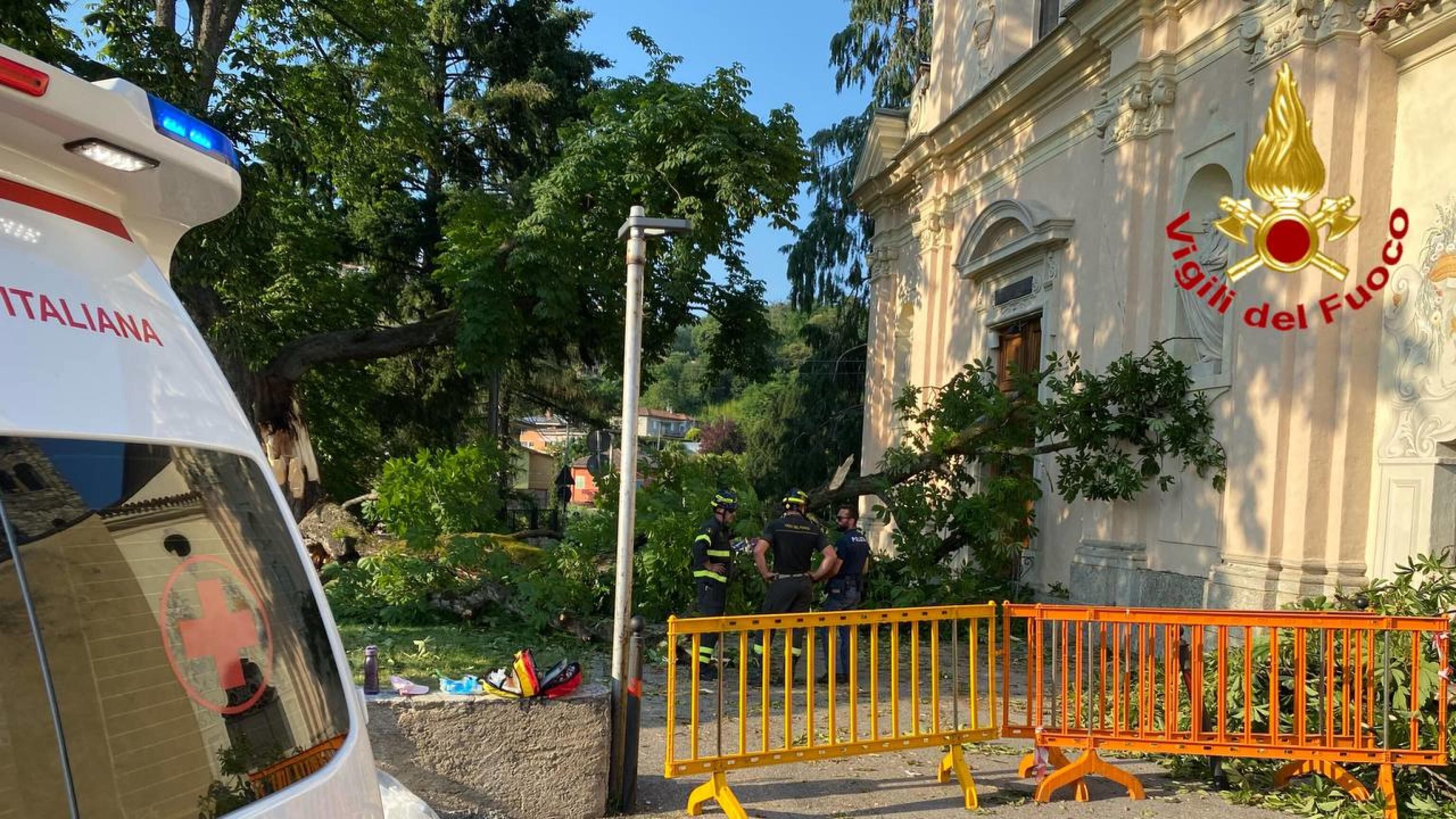 Albero crollato davanti all'oratorio a Luino: aperta un'inchiesta per lesioni