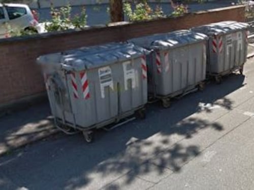 Modena, massacrò e gettò il cane nella spazzatura: denunciato 29enne