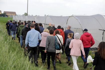 Dall'omicidio al processo: tutte le tappe del caso Saman 12