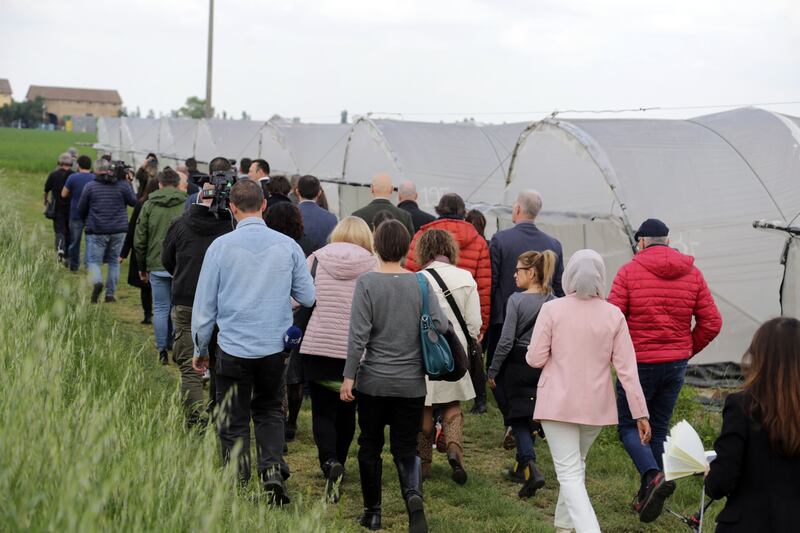 Dall'omicidio al processo: tutte le tappe del caso Saman 12