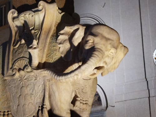 Danneggiato l'elefantino del Bernini a Roma: le foto