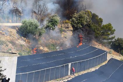 Bruciano le alture di Seborga, fiamme vicino alle case 4