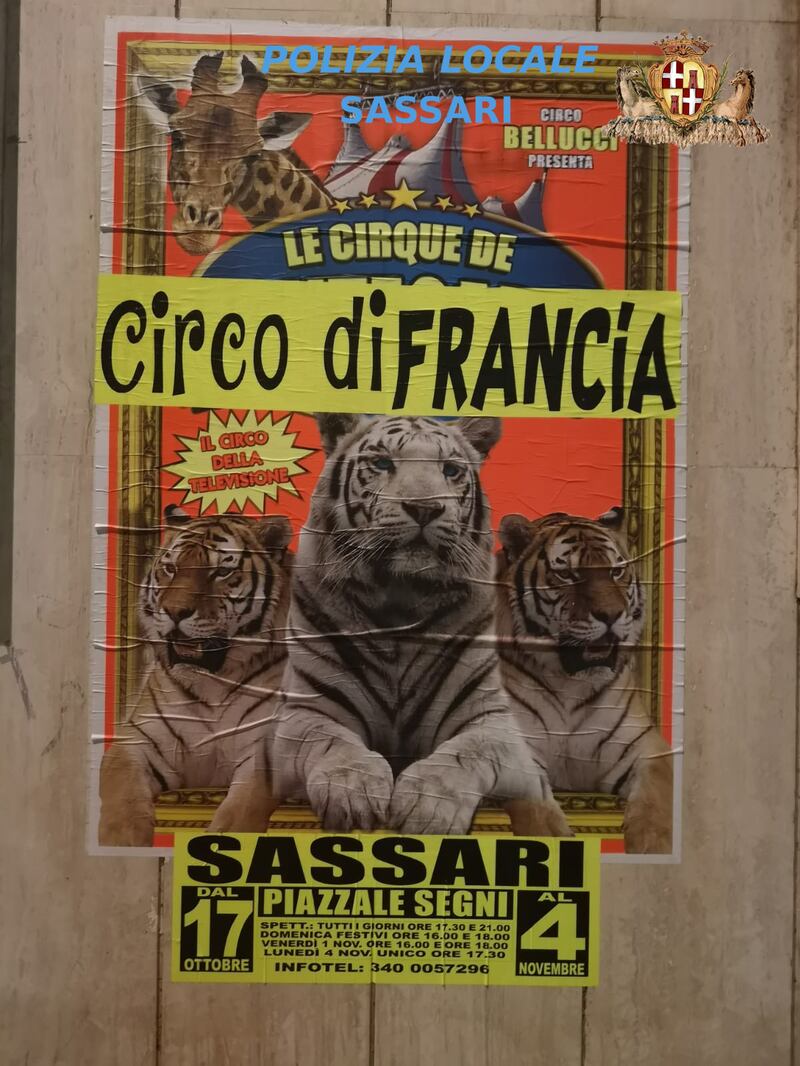 Sassari, manifesti affissi abusivamente in città 4