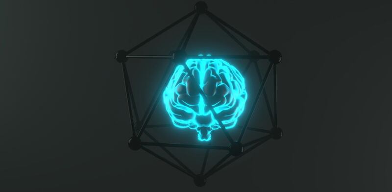 Memoria e cervello