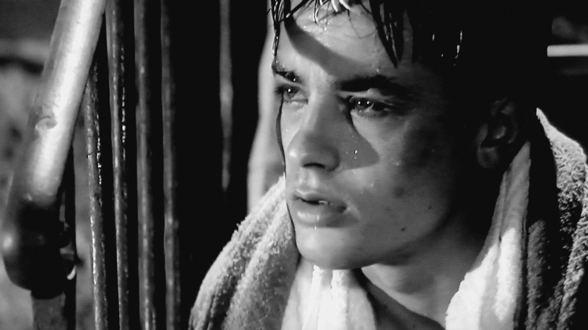 Alain Delon colpito da emorragia cerebrale: "Condizioni stabilizzate"