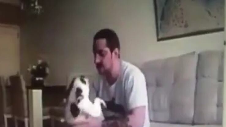 Piazza la telecamera in casa e scopre che il fidanzato abusa del suo cane