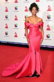 Latin Grammy 2018, i look più sexy 8