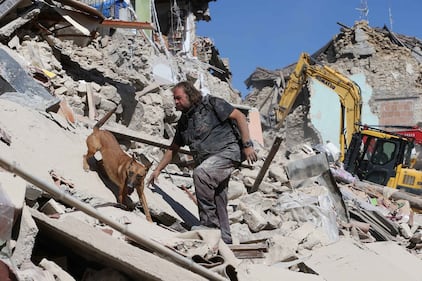 Lady Gaga per il terremoto: foto 5