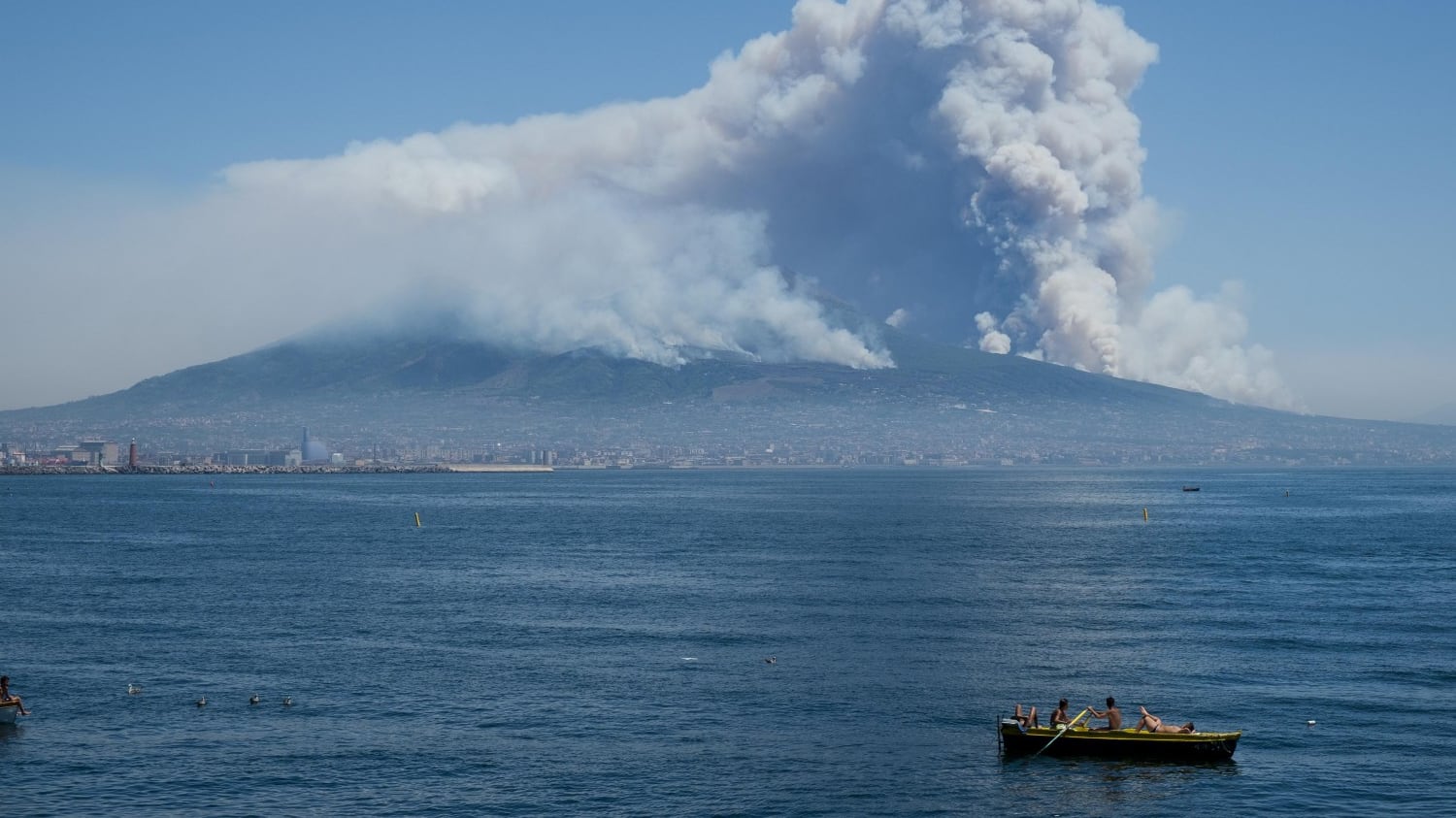 FederlegnoArredo e Afi: piante per ricostruire i boschi distrutti dagli incendi sul Vesuvio
