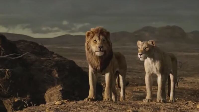 "Il Re Leone" di oggi è visivamente sbalorditivo ma meno magico