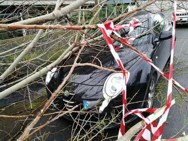 Maltempo a Roma, un ramo cade su un'auto e ferisce una donna 1