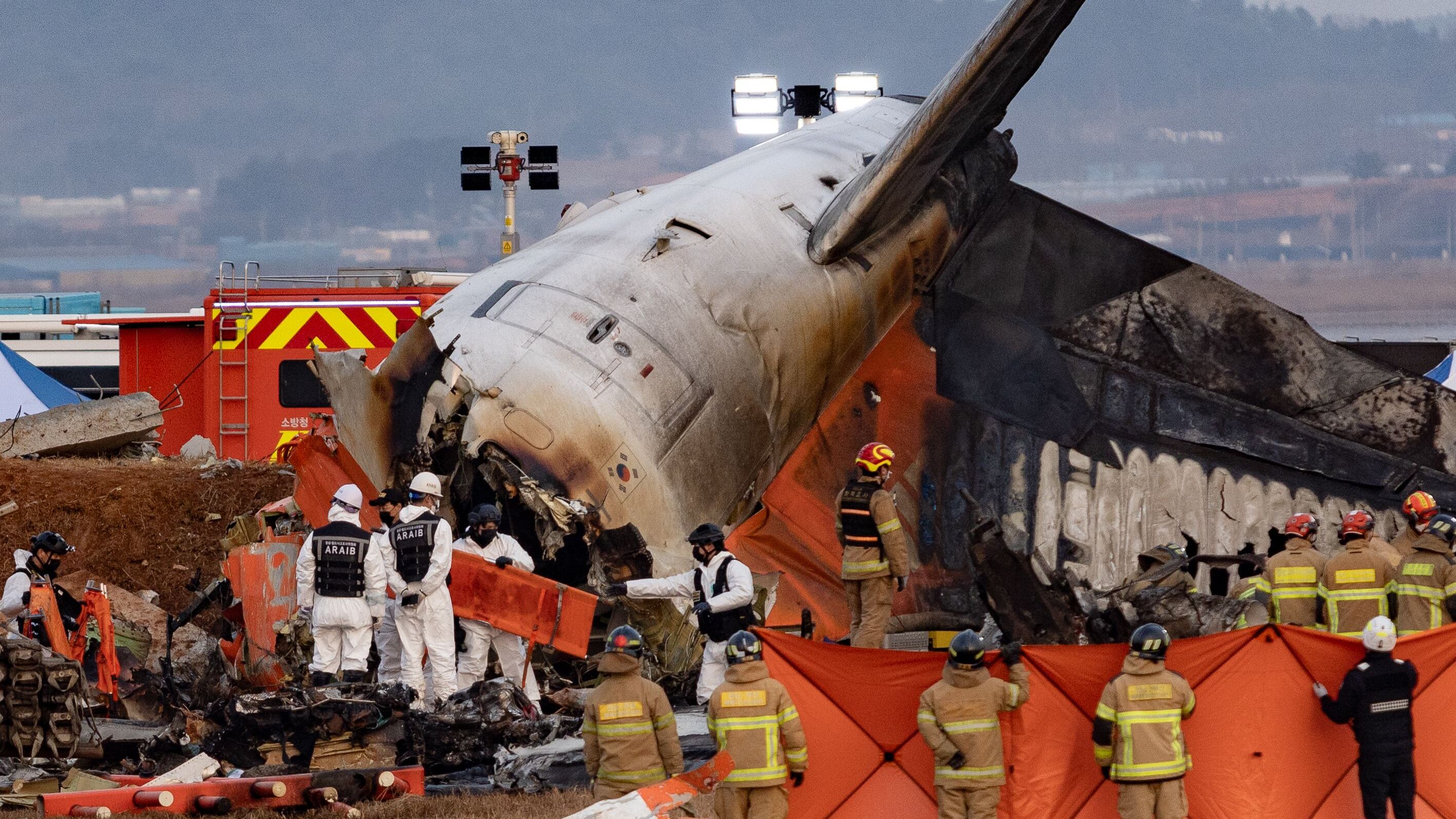 Aereo si schianta in pista: 179 morti, 2 superstiti. Ipotesi stormo di uccelli